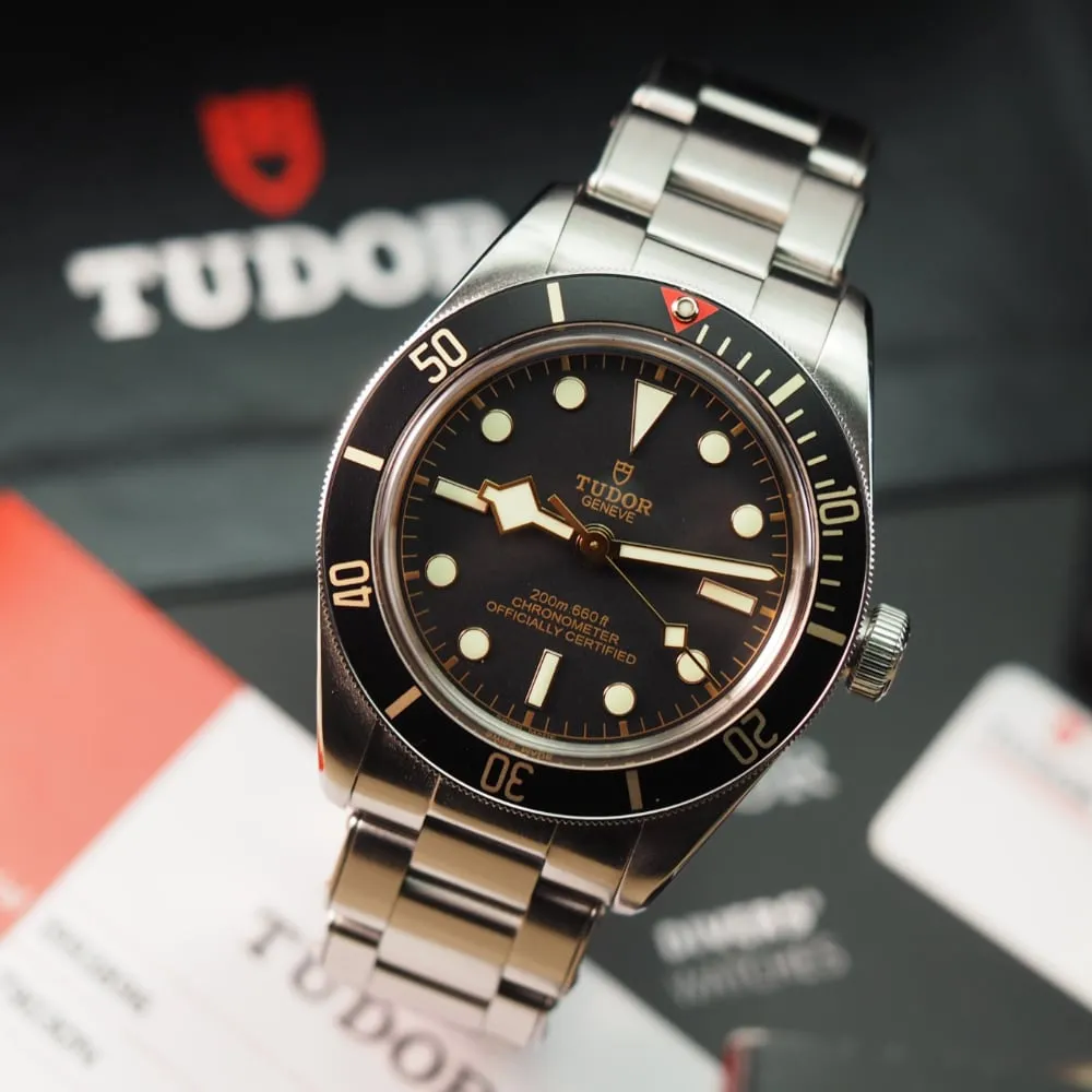 Tudor Black Bay 58 79030N (2019)