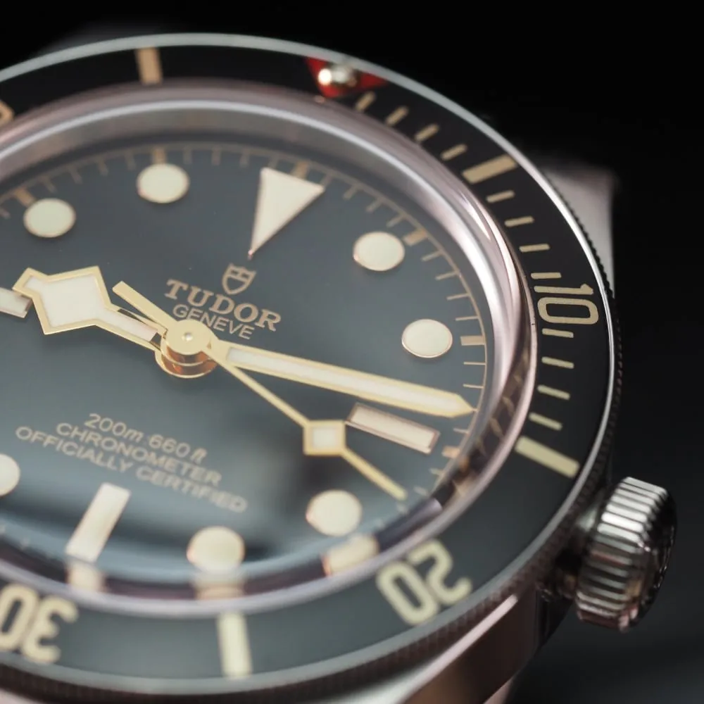 Tudor Black Bay 58 79030N (2019)