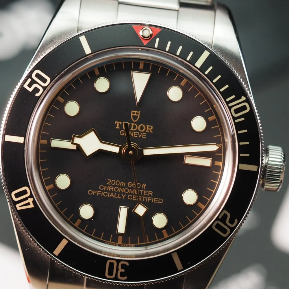 Tudor Black Bay 58 79030N (2019)