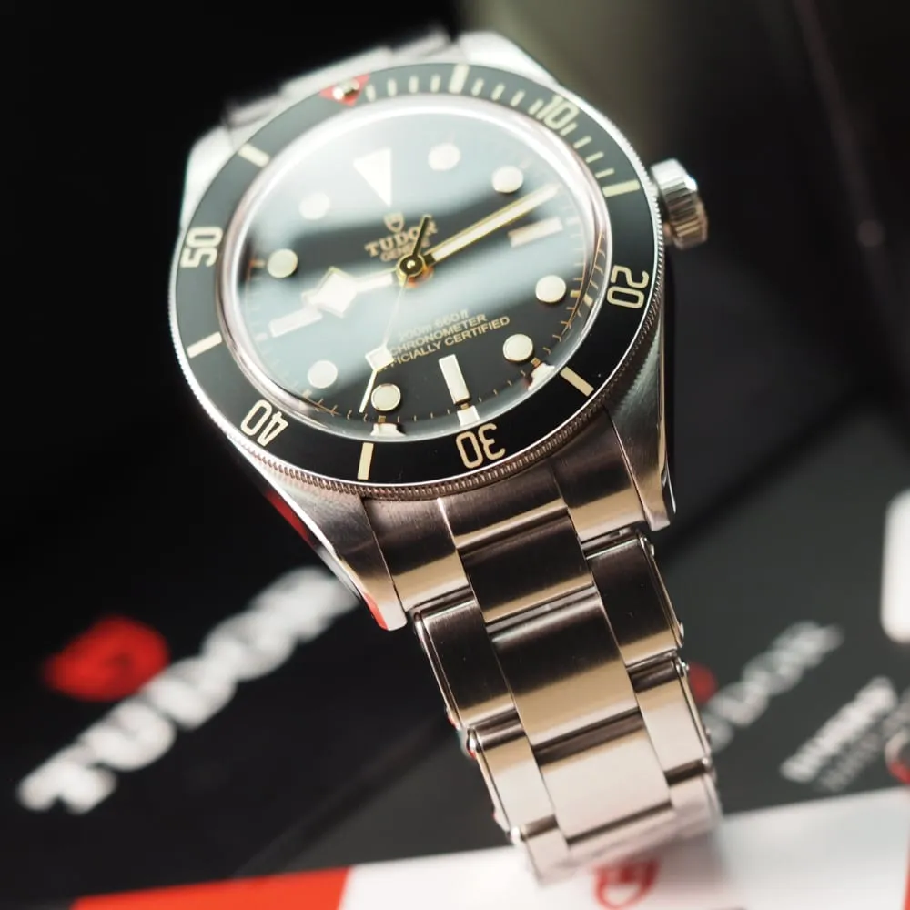 Tudor Black Bay 58 79030N (2019)