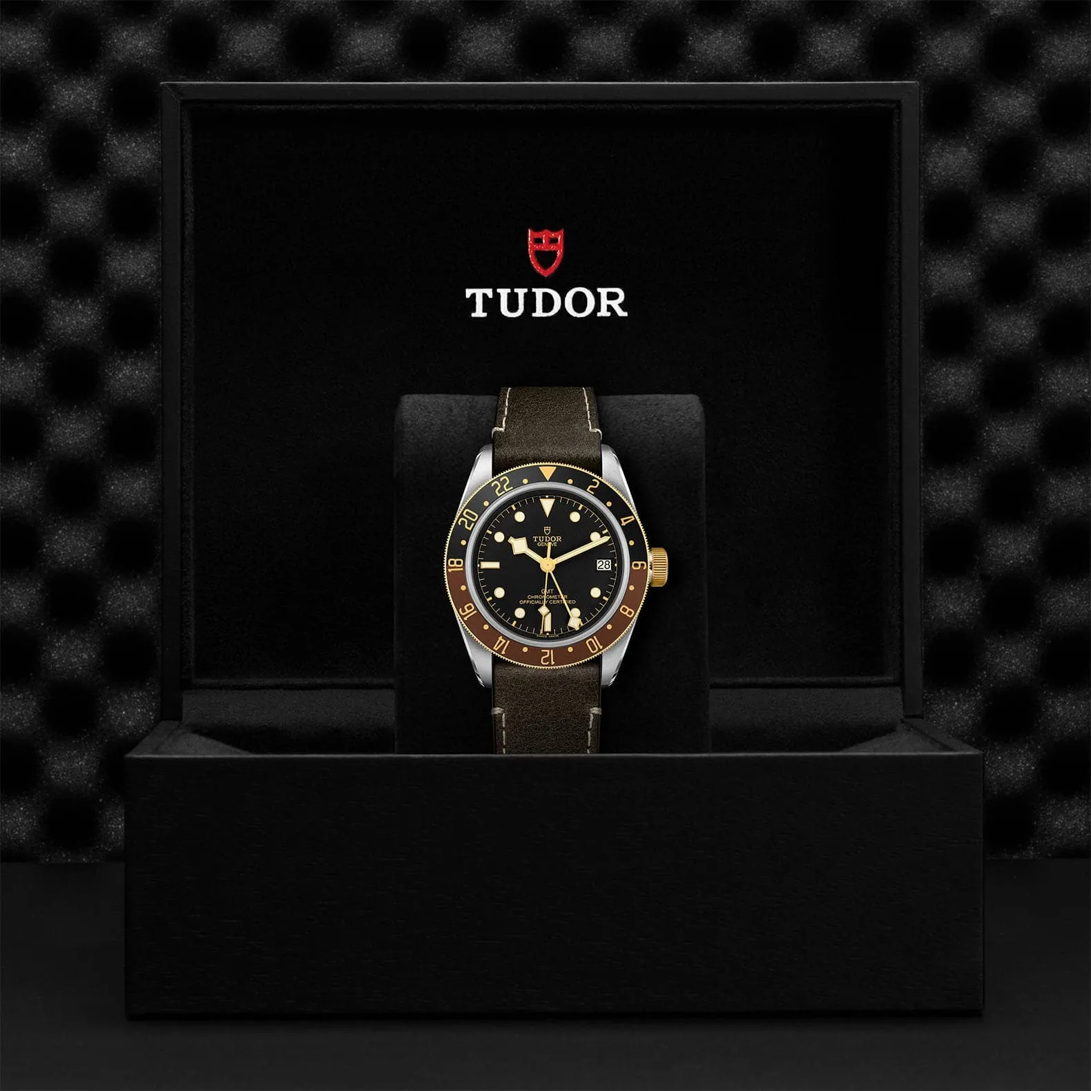 TUDOR Black Bay GMT S&G Watch - M79833MN-0003
